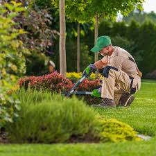 Facilities Management: Garden Maintenance